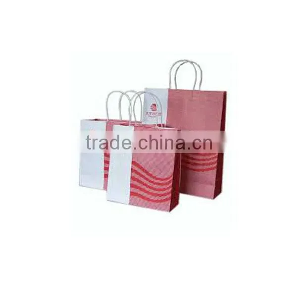 Beautiful Shopping Packaging Bags