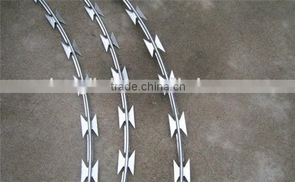 razor barbed wire