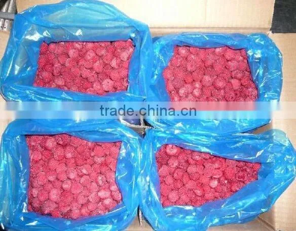 2016 Common and Organic Season Frozen iqf Raspberry