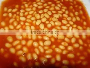 Delicious canned white kidney beans in tomato sauce