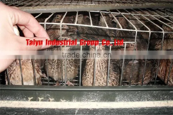 High Quality Quail Cage For Sale