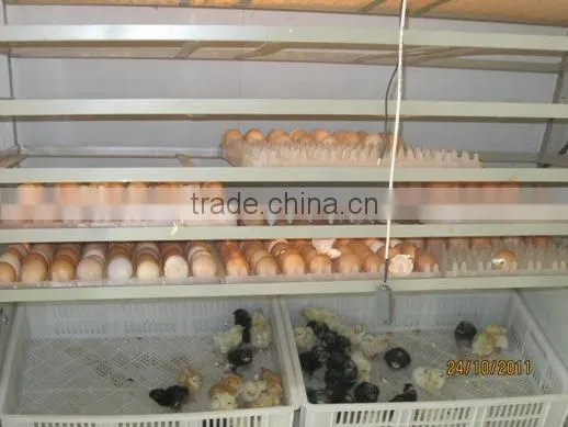 XSA-1 88pcs small Advance Egg Incubator For Poultry