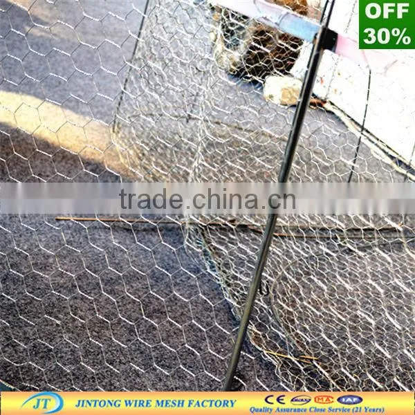 anping Jintong factory roll galvanized chicken wire mesh