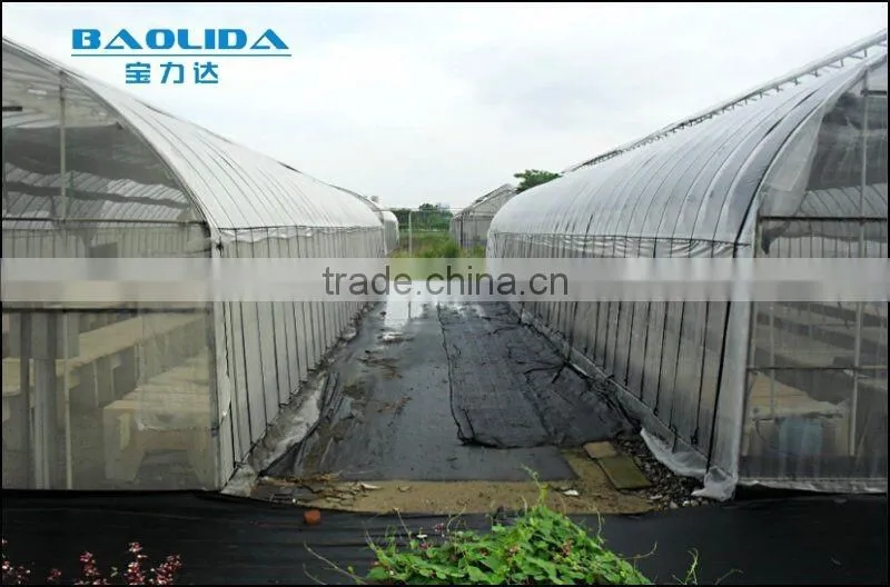 cheap vegetables tunnel greenhouse baolida tunnel green house