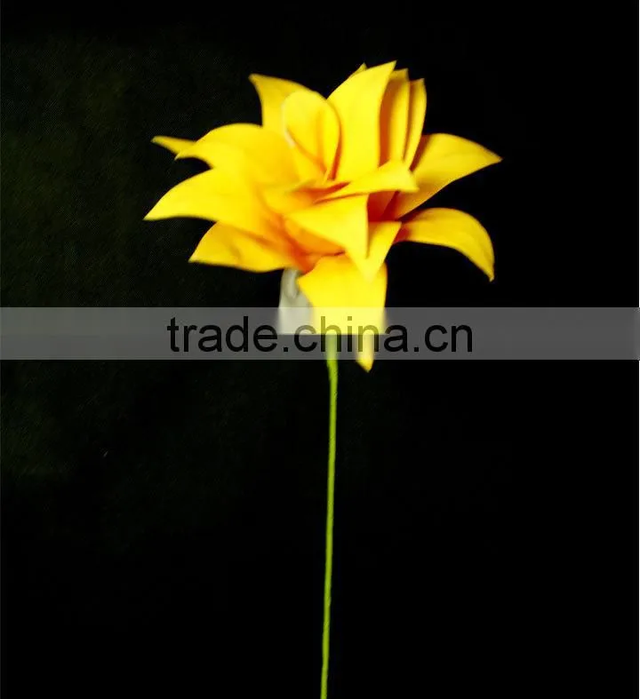 wholesale alibaba large indoor tropical plants