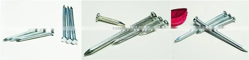 sell cheap galvanized concrete nails/nails