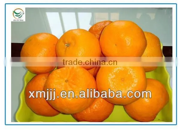 citrus fruits Orange Export Company