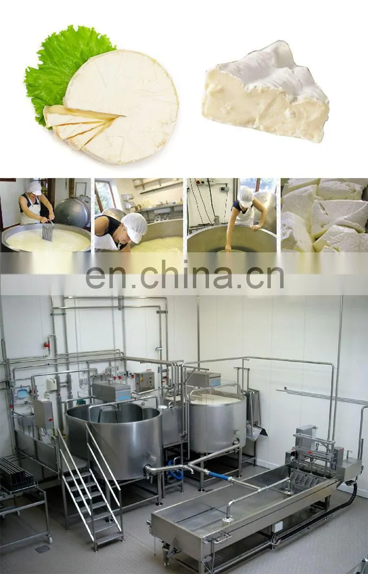 2018 new style cheese processing machine