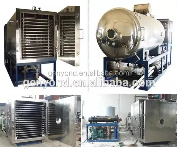 High Capacity Fruit Chips 100m2 Vegetable /flower Lyophilizer