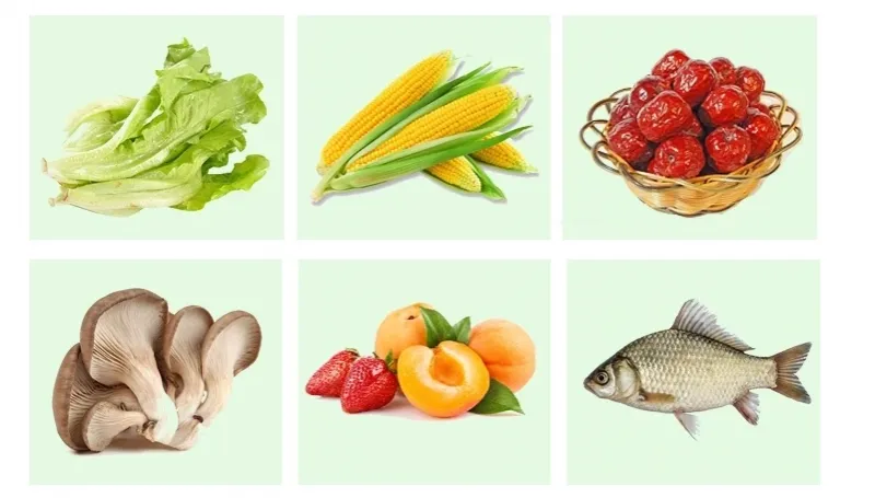 dry waxing Fruit Drying Line Vegetable Washing Machine Industrial Spice Mussel Cleaning Drying Machine Fruit and Vegetable Drying Machine juice making