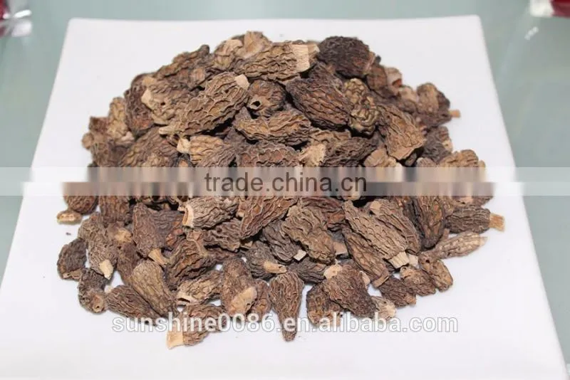 Dried Morel Mushroom Free Shipping and Market Prices for Mushroom