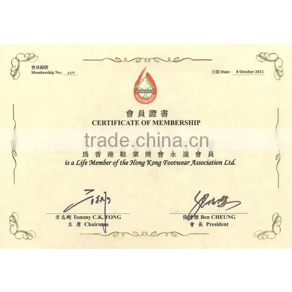 2015 Xinhuaye paperboard market