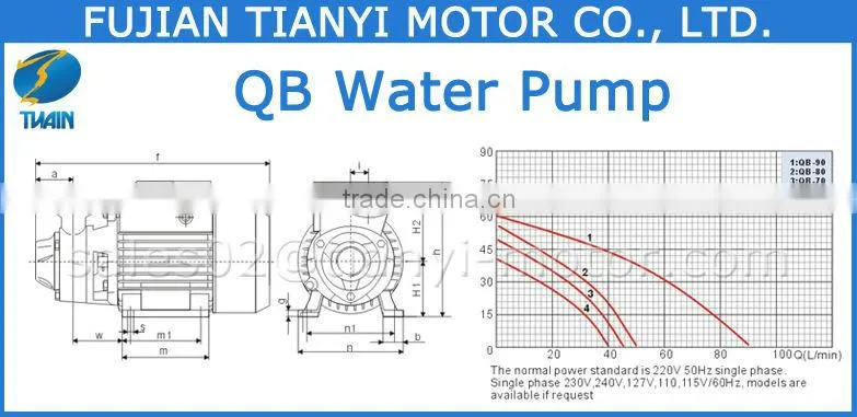 QB80 1 HP Motor Water Pump