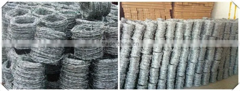 Guangzhou barbed wire mesh and fencing material for frontier border manufacturer