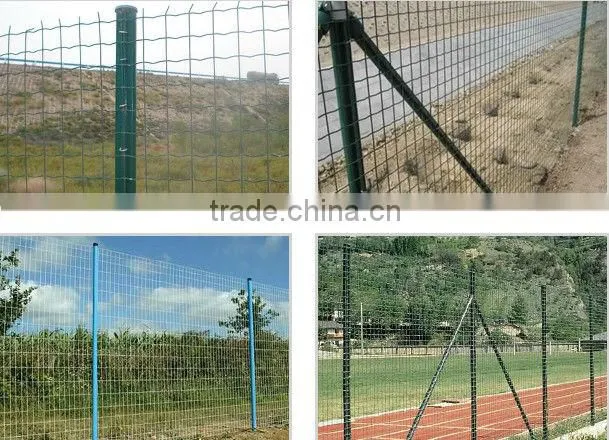 Holland Wire Mesh/Europe Fence