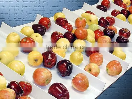 Food grade PVC Conveyor Belt Fruit conveyor belt
