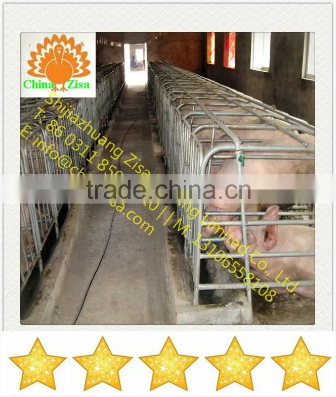 pig farming equipment