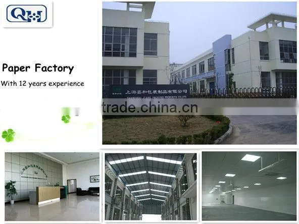 PP non woven bag for shoes,custom non-woven bag