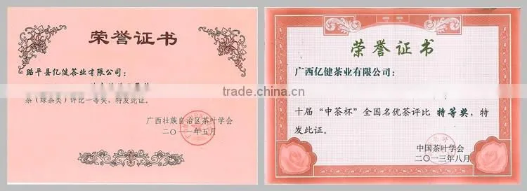 Quality guaranteed fresh Green Tea leaves organic/green tea bags bulk