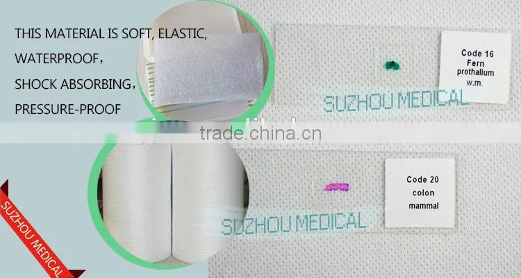 Lab accessories microbiology bacteria prepared slides