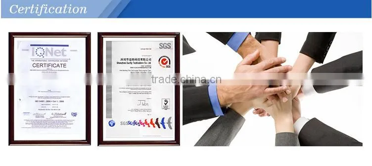 Ali Supplier 160x160 FSTN lcd module small LCD display