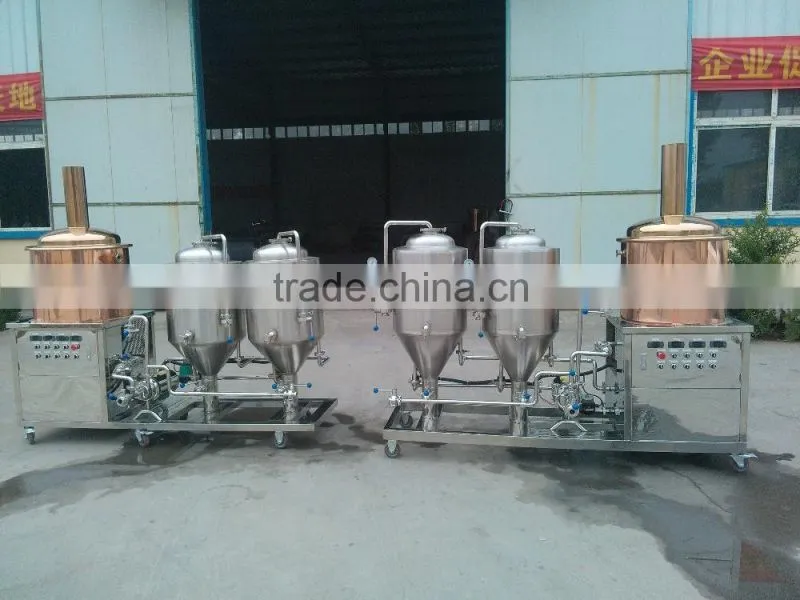 China time-honoured brand Shunlong microbrewery equipment for beer with cip system