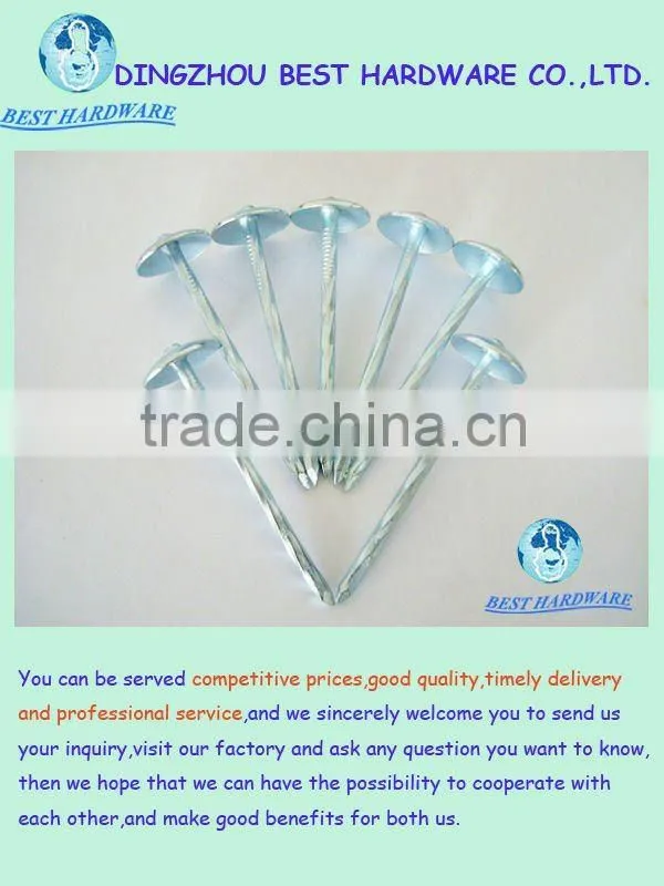 Ring shank galvanized roofing nail with umbrella head