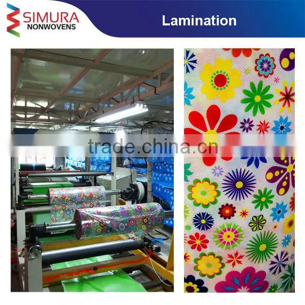Polyester Shopping Bags for Tourists