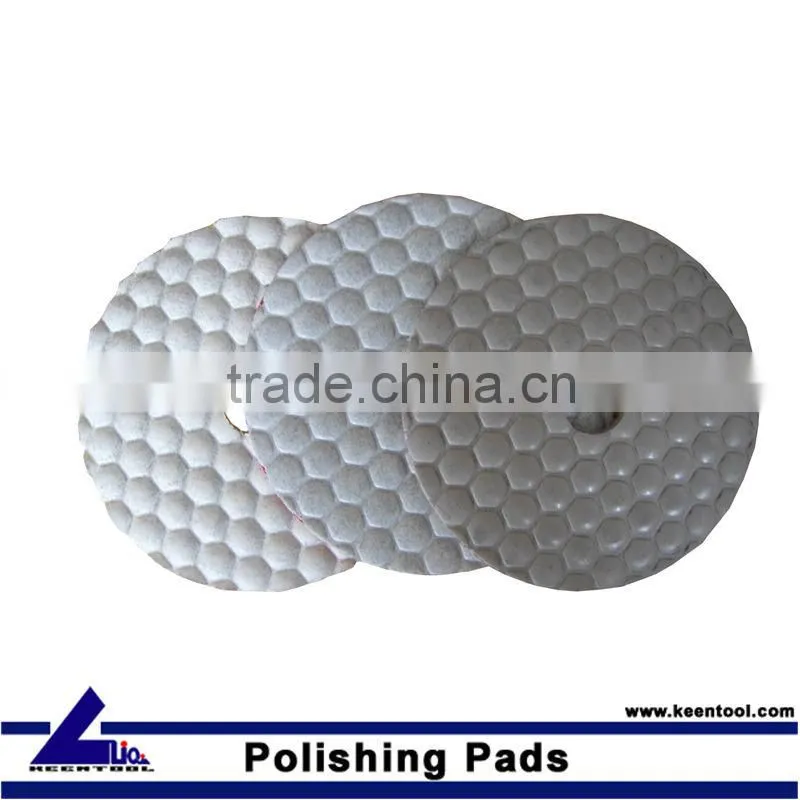 Polishing pad (Dry/wet polishing pad)