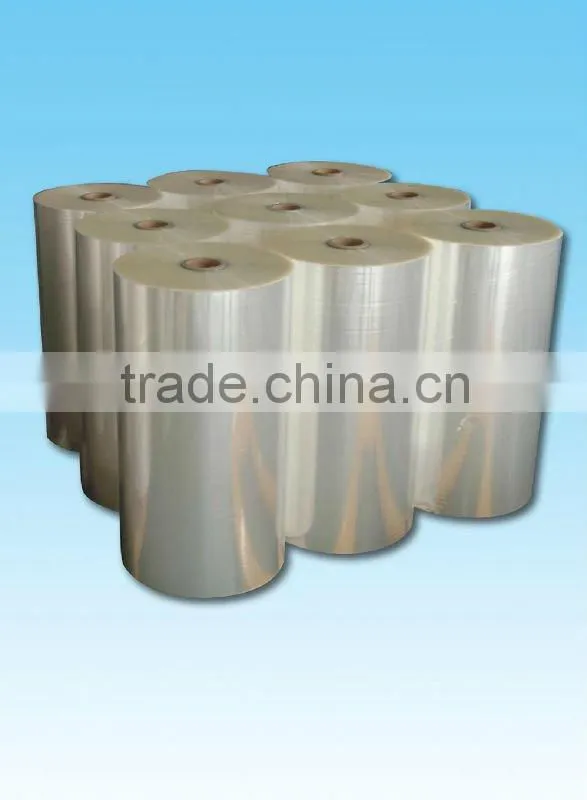 Multi layer High Barrier PE/PA/EVOH/PA/PE Extruded Film