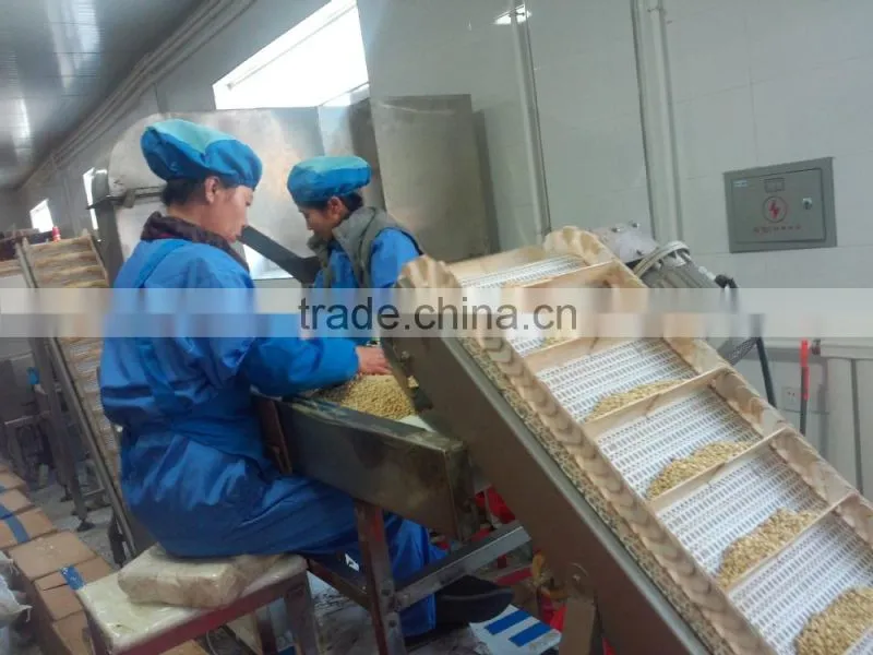 Chinese Pine Nut Kernels small bags
