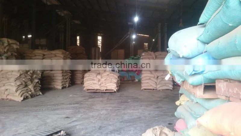 ARABICA GREEN COFFEE BEANS- High quality