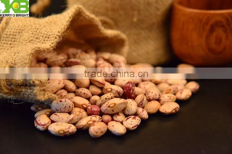 New crop light speckled kdiney shape oval shape