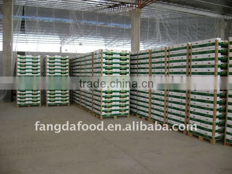 China original fruit fresh honey pomelo