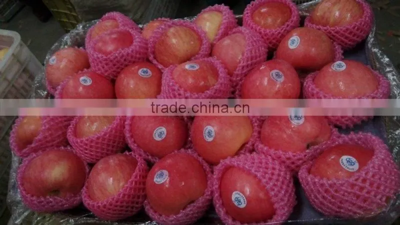 chinese fuji apple