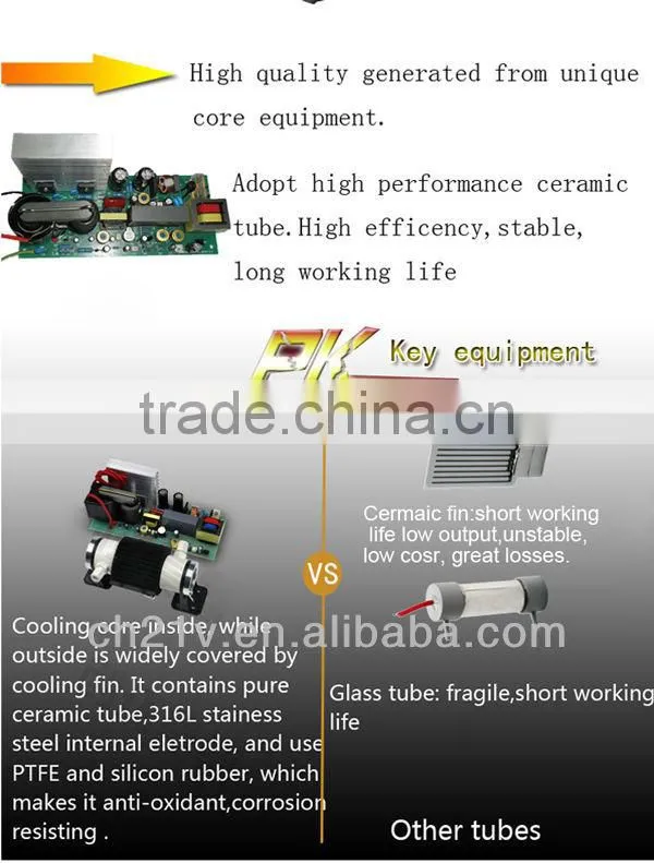 Hot! 2g ceramic ozone generator for drinking water