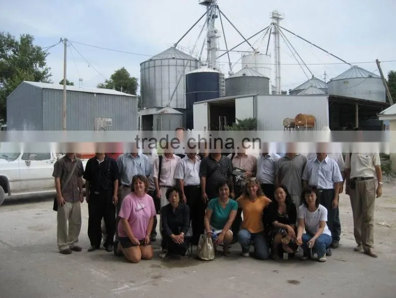 corn gluten meal