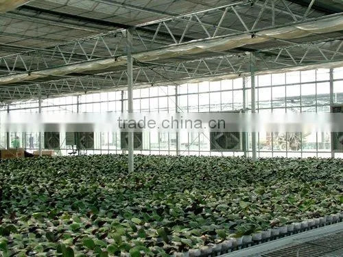 Industrial Poultry Fan(ISO9001:2000)