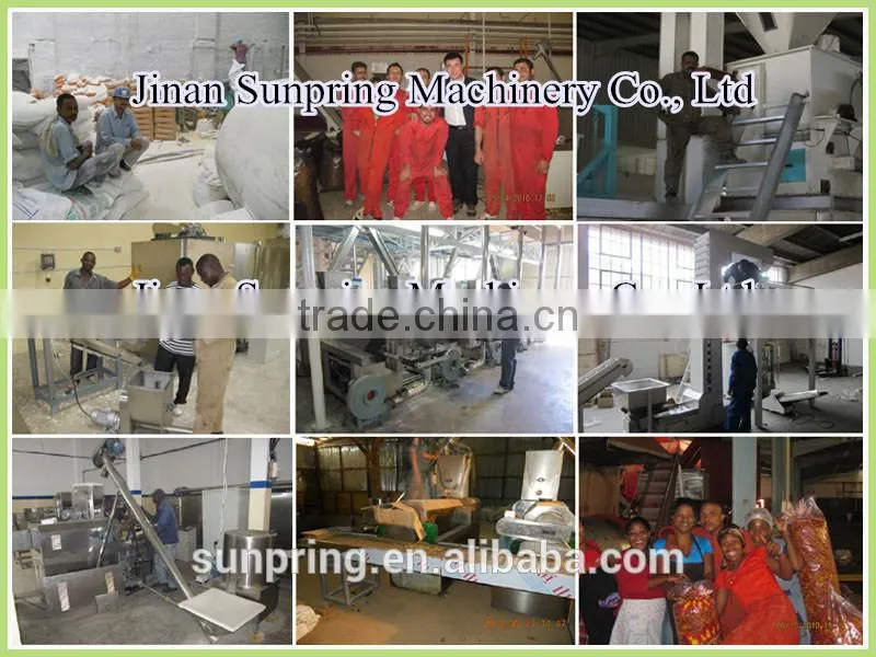 Rice Chips Rice Bites Extruder Making Machine