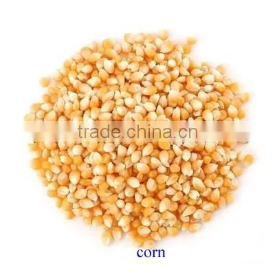 High Quality XYSS series vibrator feeder conveyor (TX)