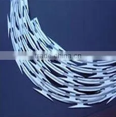 galvanized & PVC coated razor barbed wire