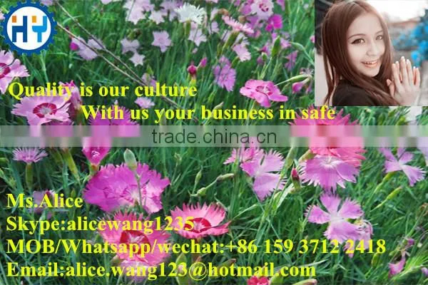 Factory garden lawn mower parts/lawn mower