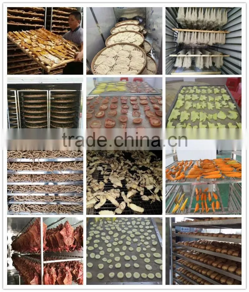 Best Price Seafood Dryer Equipment/fruit Drying Machine For Mango,Orange,Apple Chips