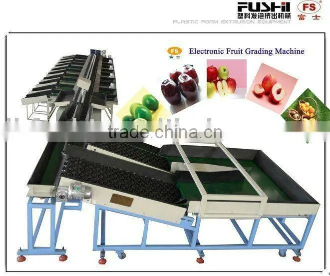 Hot Selling Automatic Fruit Weight Grading Machine