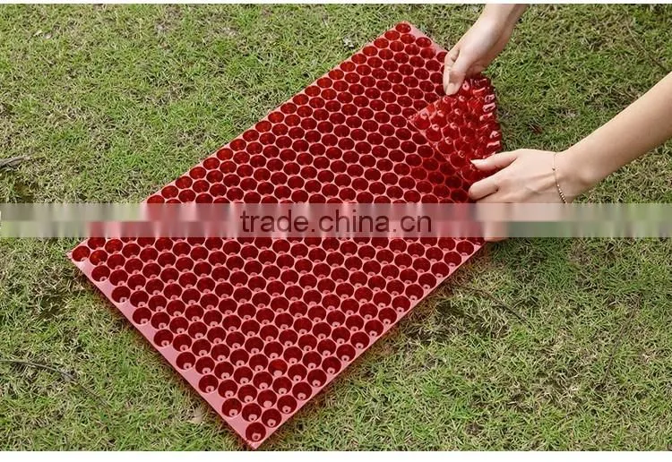 353 cell clear plastic seed tray for rice seedling, hydroponic tray, 75g