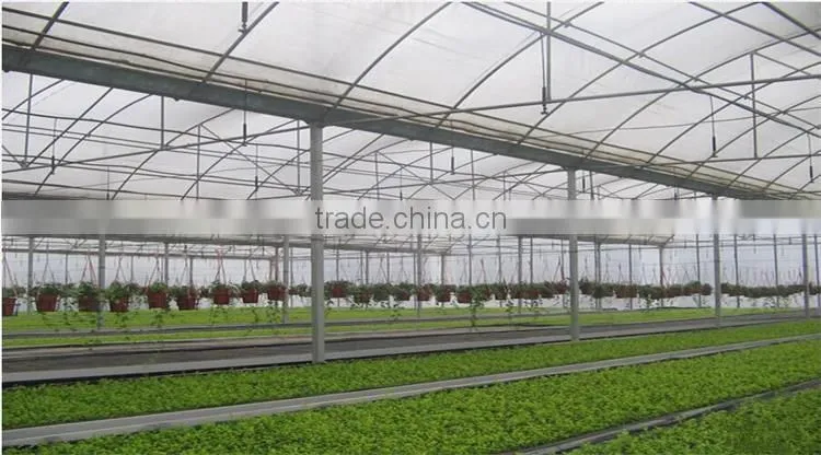 Hot sale multi-span greenhouse with vegetable farming equipment