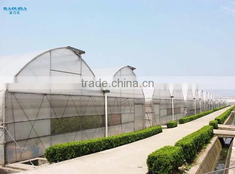 commercial greenhouse for agriculture