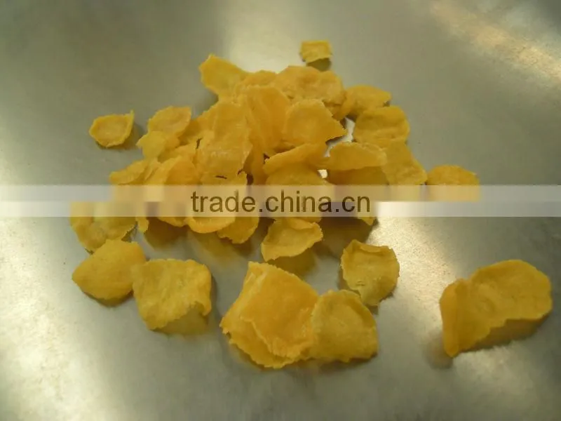 Best sale!Nutritional&Healthy Breakfast Cereals/Corn Flakes Production Line/processing line
