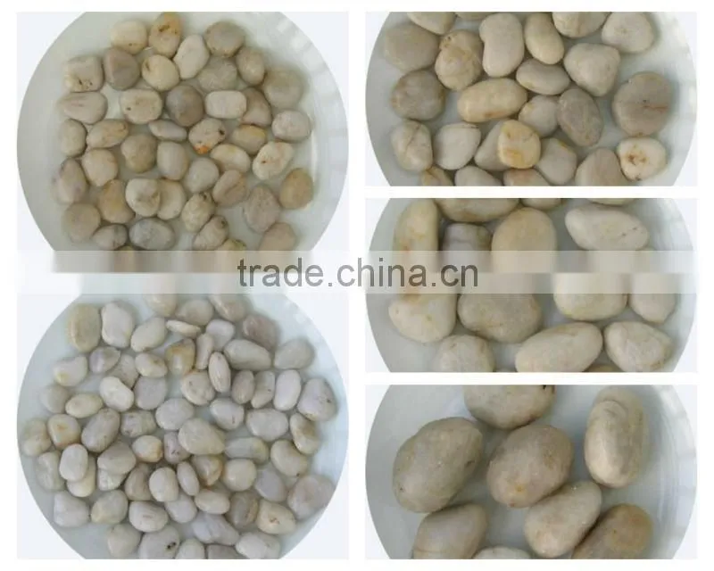 Natural River Stone White Round Pebble Stone 2-4cm