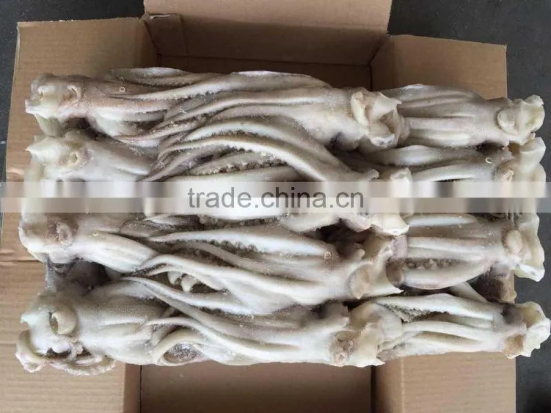 Illex Argentina Frozen Squid Wholesale Tentacle